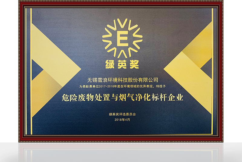 危廢處置與煙氣凈化標桿企業(yè)